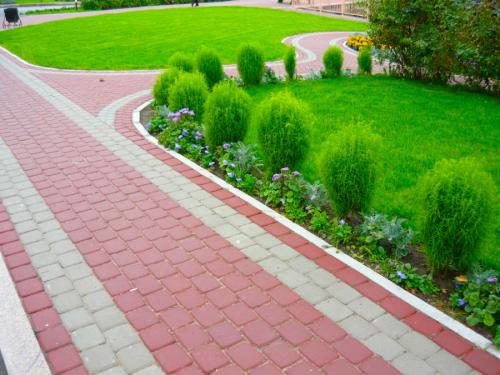 Озеленение участка своими руками. Озеленение участка – идеи по обустройству территории и варианты современного ландшафтного дизайна