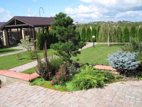 Озеленение участка своими руками. Озеленение участка – идеи по обустройству территории и варианты современного ландшафтного дизайна