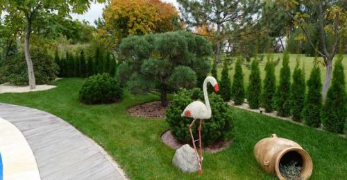 Озеленение участка своими руками. Озеленение участка – идеи по обустройству территории и варианты современного ландшафтного дизайна