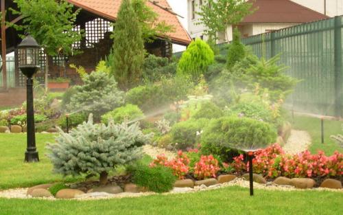 Озеленение двора в частном доме. Основные моменты работы 29 Озеленение двора в частном доме. Основные моменты работы 29