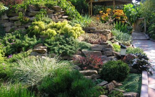 Озеленение двора в частном доме. Основные моменты работы 31 Озеленение двора в частном доме. Основные моменты работы 31