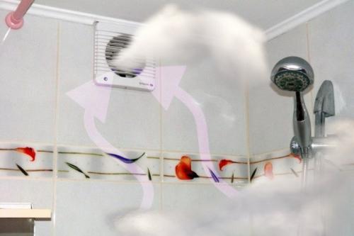 Сделать вытяжную вентиляцию в туалете. Решаем проблему вентиляции в ванной и туалете