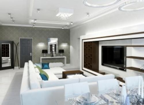 Как изменится интерьер дома после объединения прихожей и гостиной. Стоит ли гостиную совмещать с прихожей?