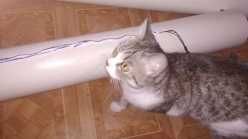 Мощная вытяжка своими руками. Встраиваемая тихая вытяжка на кулерах 120 своими руками