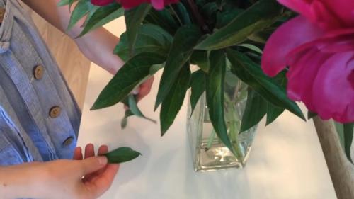 10 правил чистоты в доме. 10 основных правил для чистоты и порядка в доме