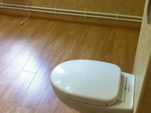 Ламинат в туалете на полу. Ламинат в туалете: плюсы и минусы, выбор, примеры отделки