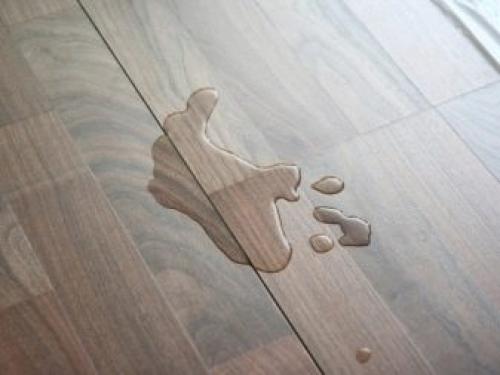 Ламинат в туалете на полу. Ламинат в туалете: плюсы и минусы, выбор, примеры отделки