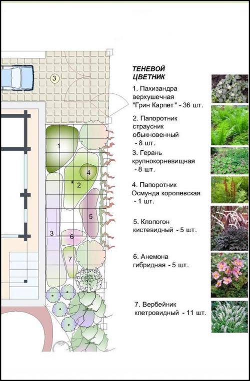Создание красивого миксбордера из кустарников и многолетников 11 Создание красивого миксбордера из кустарников и многолетников 11