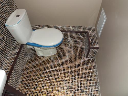 Какой может быть отделка туалета. Кафельная плитка