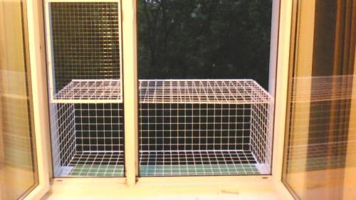 Виды оконных решеток. Можно ли ставить? 03