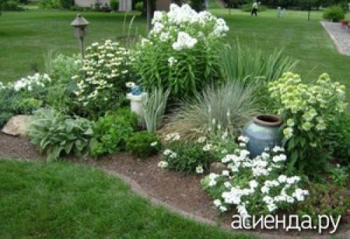 Какие функции должен выполнять миксбордер в парадной зоне. Растения для цветника