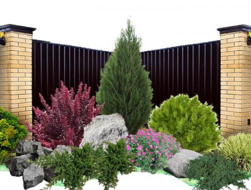 Как правильно разместить миксбордер в парадной зоне. Чем наполняется миксбордер?