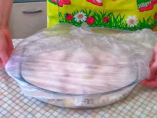 Курица в духовке кусочками в сметане. Курица в сметане в духовке в сливочном маринаде