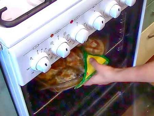 Курица в духовке кусочками в сметане. Курица в сметане в духовке в сливочном маринаде