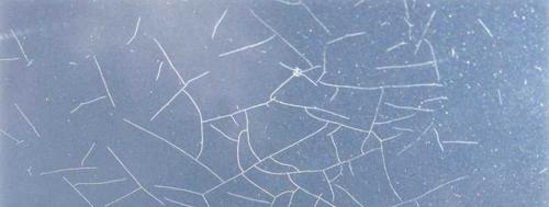 Полное руководство по покраске стеклообоев: как добиться идеального результата 07