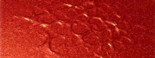 Полное руководство по покраске стеклообоев: как добиться идеального результата 06