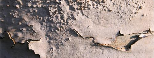 Полное руководство по покраске стеклообоев: как добиться идеального результата 08