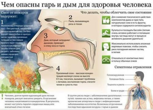 Дымовые и вентиляционные каналы. Дымоходы и вентиляция: опасность, эксплуатация и профилактика
