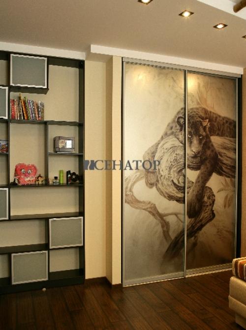 Шкаф-купе: как выбрать идеальный для вашего интерьера 11