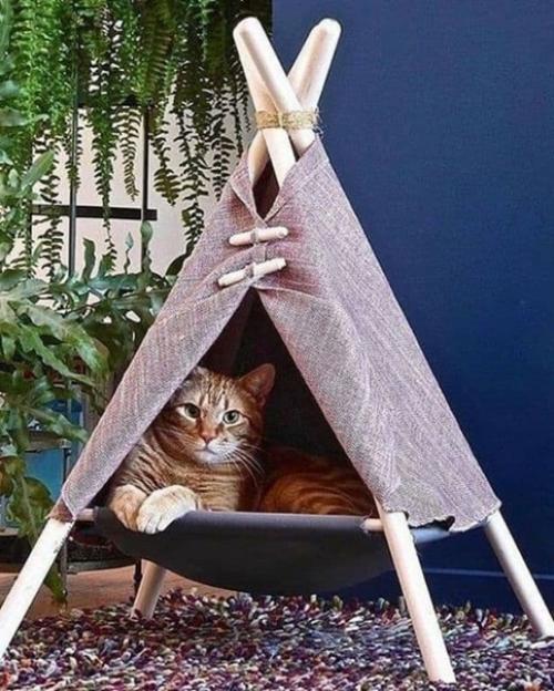 Для котиков нужен тоже свой стильный интерьер! 02
