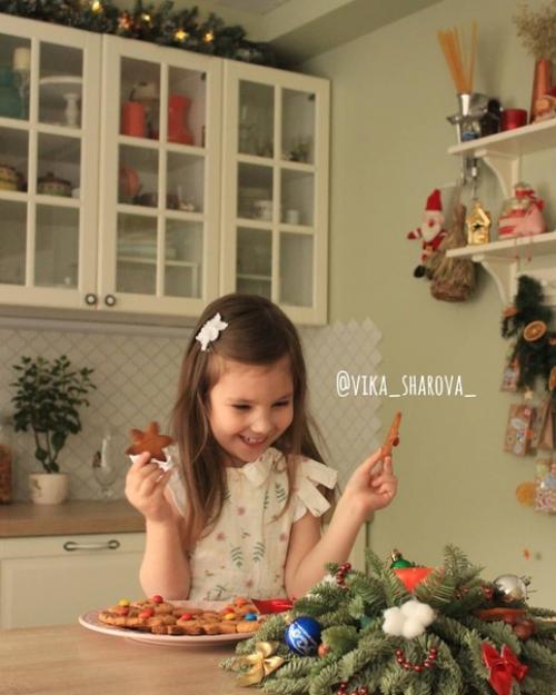 Наша новогодняя кухня. 01