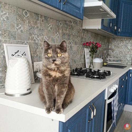 Bce o дизaйнe интepьepa. 01