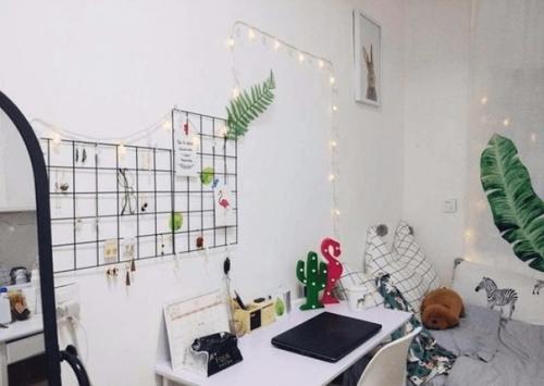 Убитая комната в общаге досталась. 02