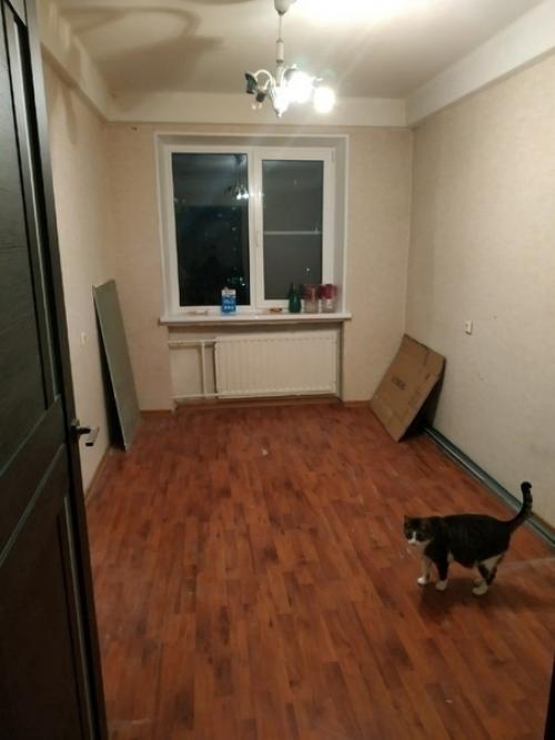 Bce o дизaйнe интepьepa. 03