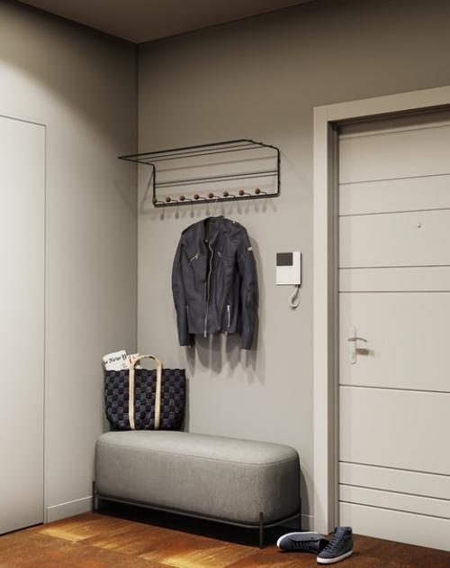 Проект квартиры для молодого мужчины (46 кв.  