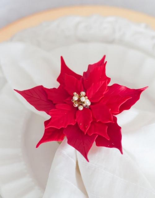 Цветок, который ассоциируется с рождеством - пуансетия. 02