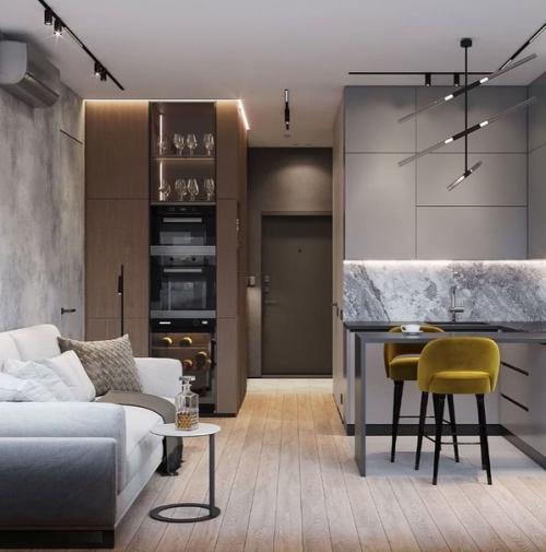 Современная кухня - гостиная. 03