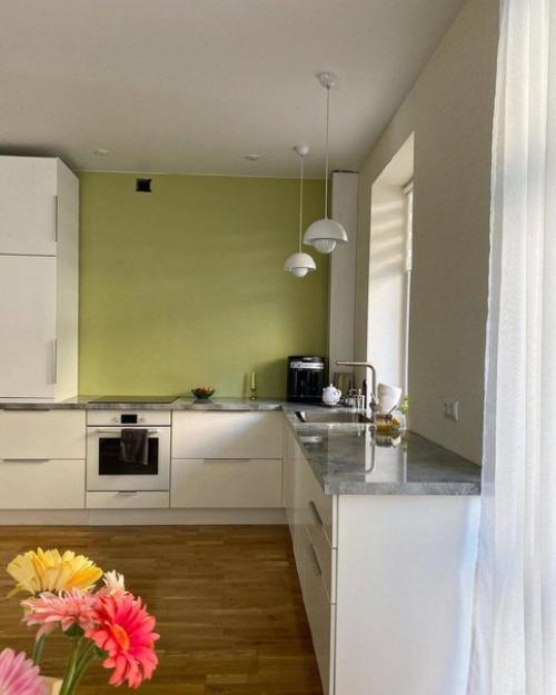 Кухня - гостиная с оливковой стеной.