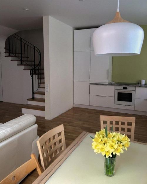 Кухня - гостиная с оливковой стеной. 01