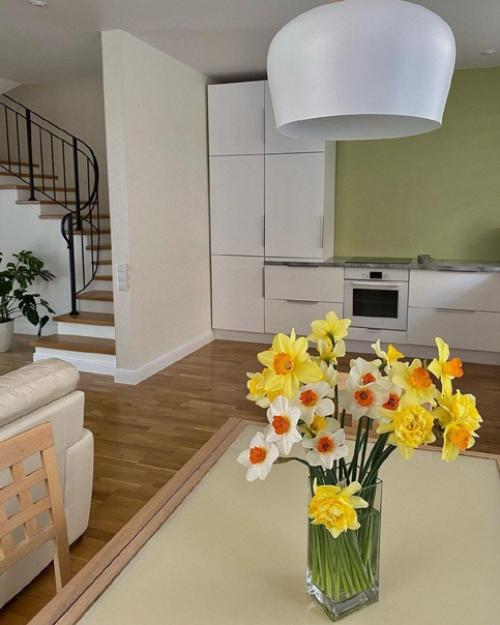 Кухня - гостиная с оливковой стеной. 02