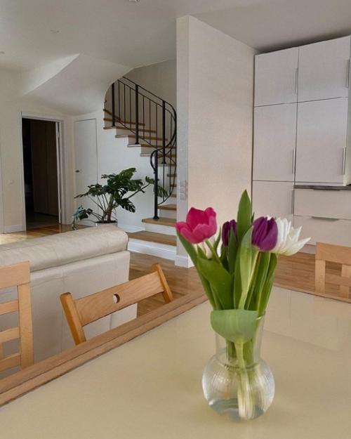 Кухня - гостиная с оливковой стеной. 05