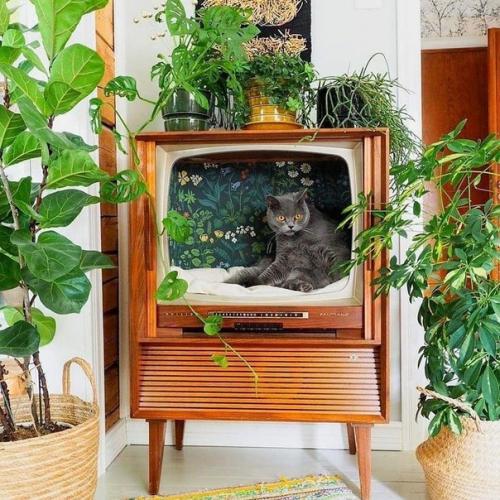 Классные столики с лежанками.