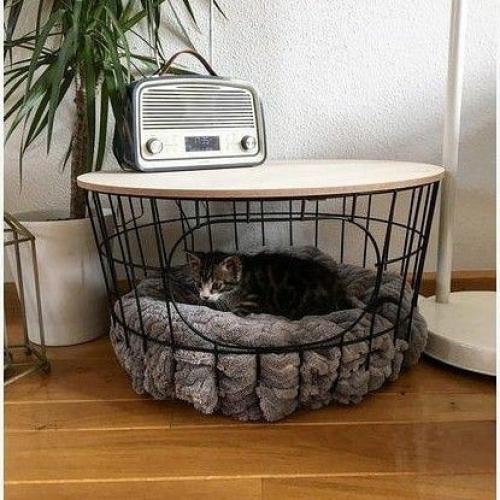 Классные столики с лежанками. 01