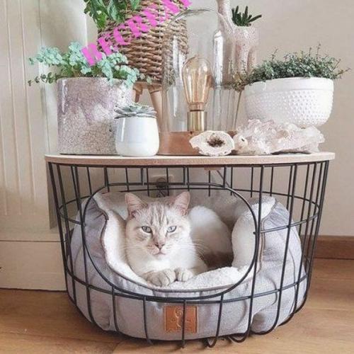 Классные столики с лежанками. 04