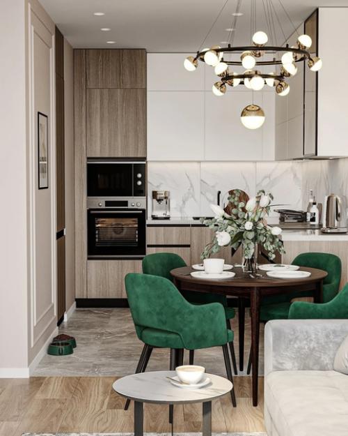 Кухня - гостиная площадью 21 кв. 01