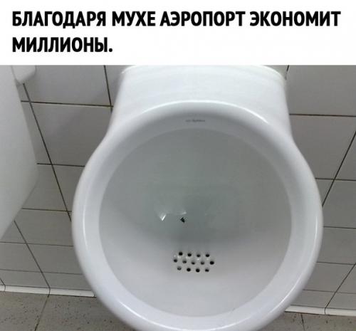 Вот оказывается где истина зарыта. 02