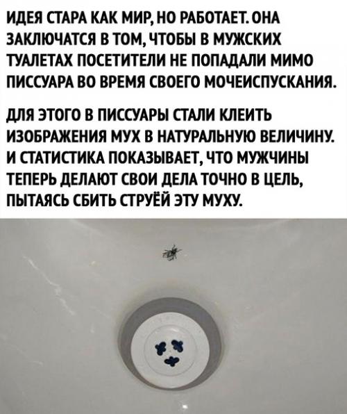 Вот оказывается где истина зарыта. 01