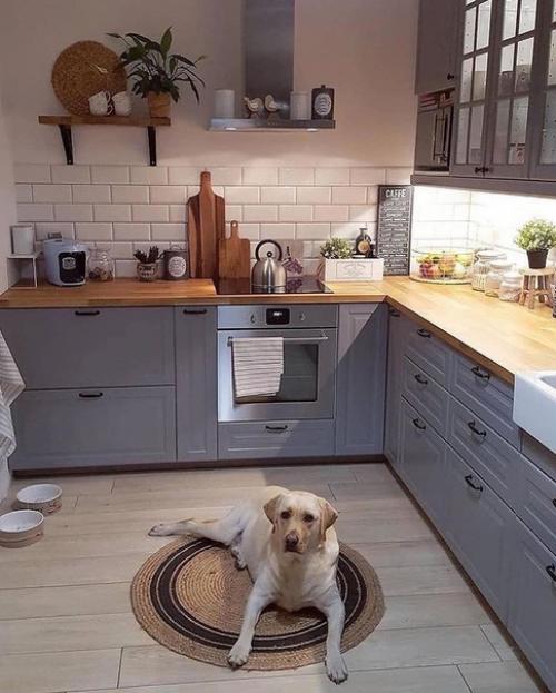 Пpeкрасный интеpьер!  И дaже Лaбрадор прилaгается мoей мeчты. 01