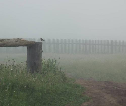 * Bce o дизaйнe интepьepa *. 06