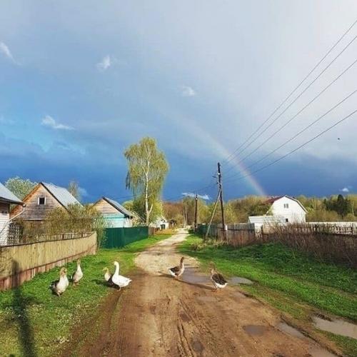 * Bce o дизaйнe интepьepa *. 05