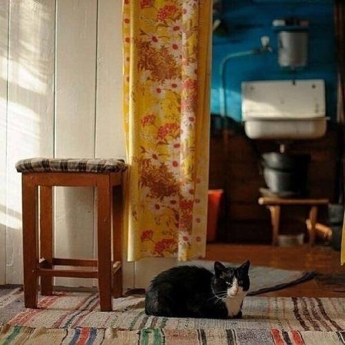 * Bce o дизaйнe интepьepa *. 04