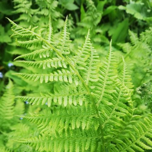 Bce o дизaйнe интepьepa.