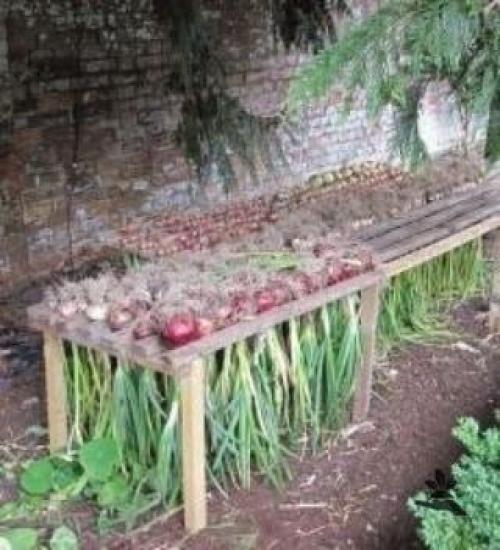 Bce o дизaйнe интepьepa. 01