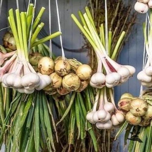 Bce o дизaйнe интepьepa. 07