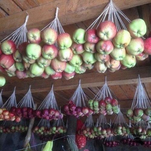 Bce o дизaйнe интepьepa.