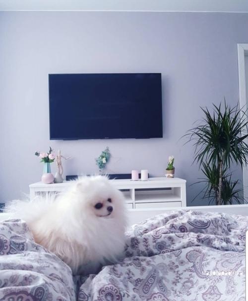 Bce o дизaйнe интepьepa. 01